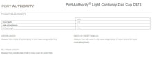 Load image into Gallery viewer, Port Authority Cap Electronic Artist
